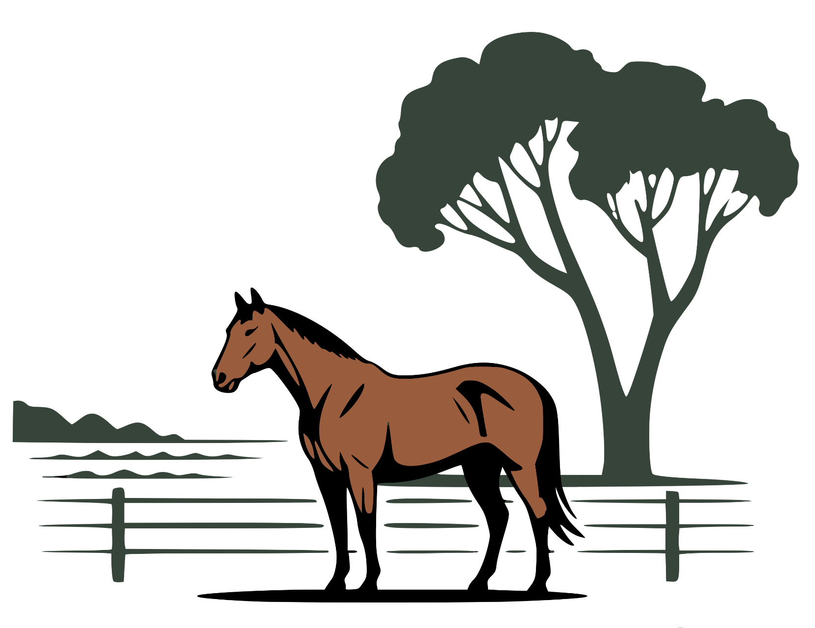 Triple D Ranch