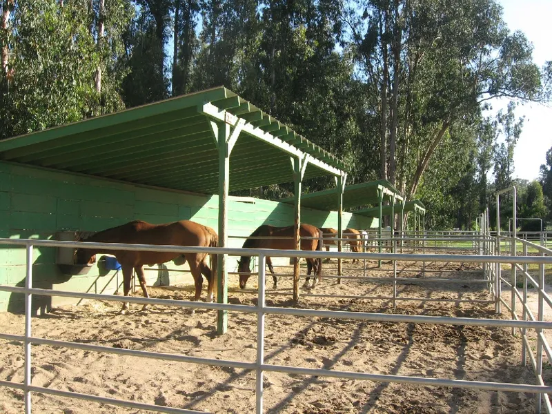 Horse boarding at Triple D Ranch