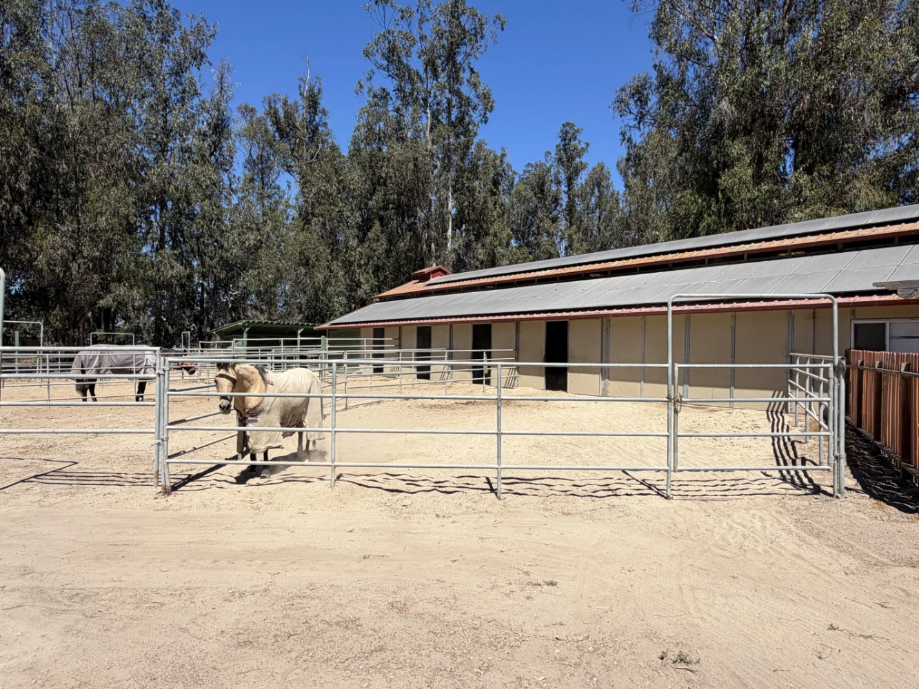 Barn stall run at Triple D Ranch, view 1