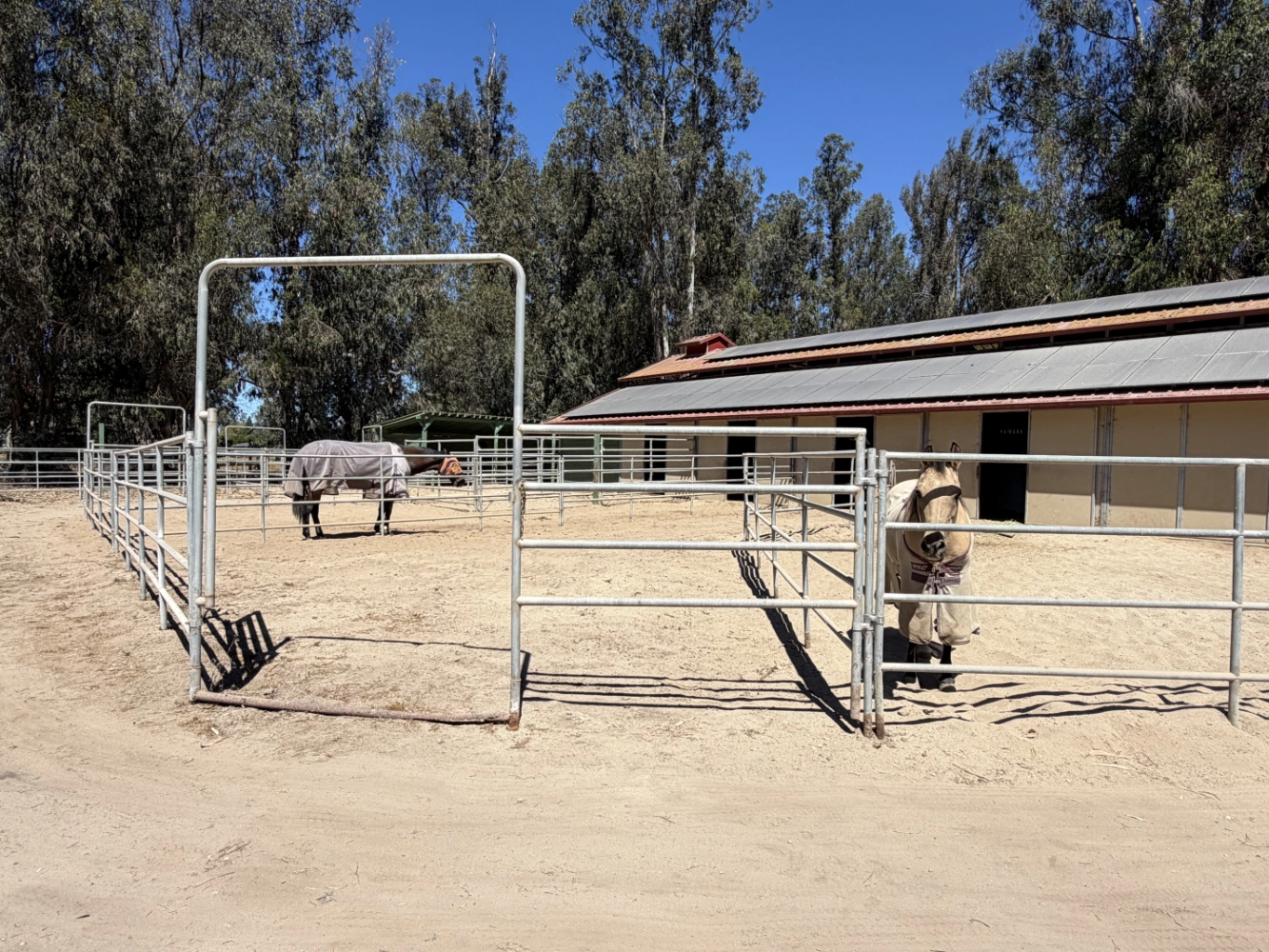 Barn stall run at Triple D Ranch, view 2