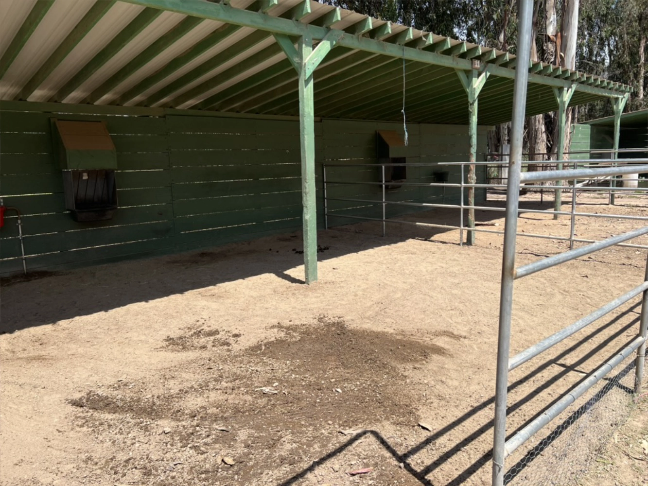 Outdoor corral at Triple D Ranch