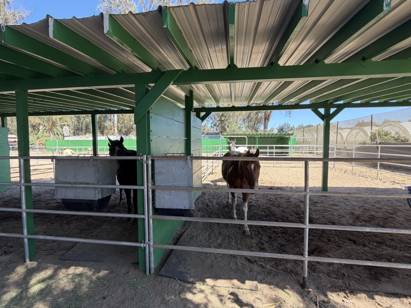 Outdoor shelter stall for up to three horses at Triple D Ranch, view 1