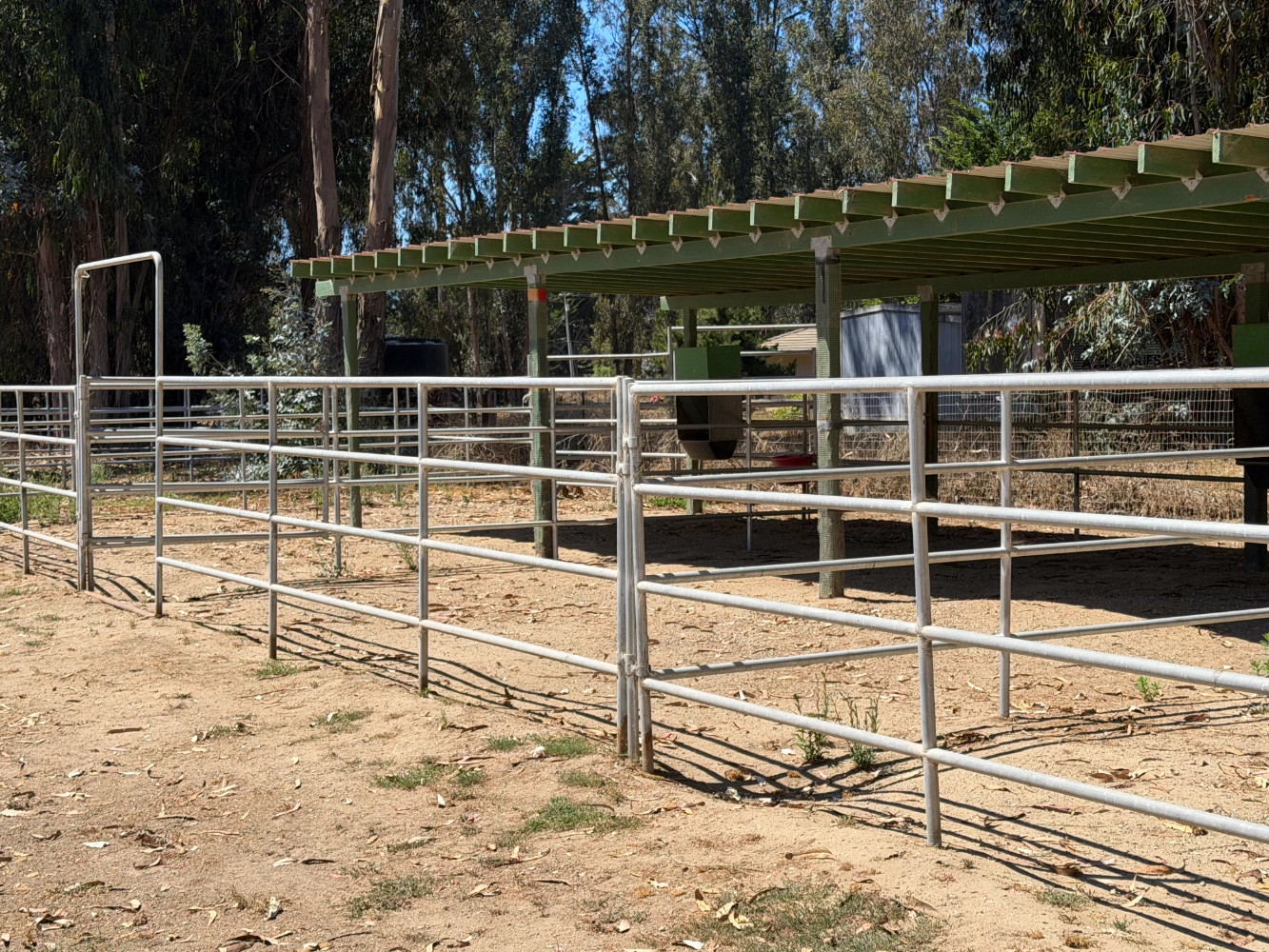 Outdoor shelter stall for two horses at Triple D Ranch, view 1