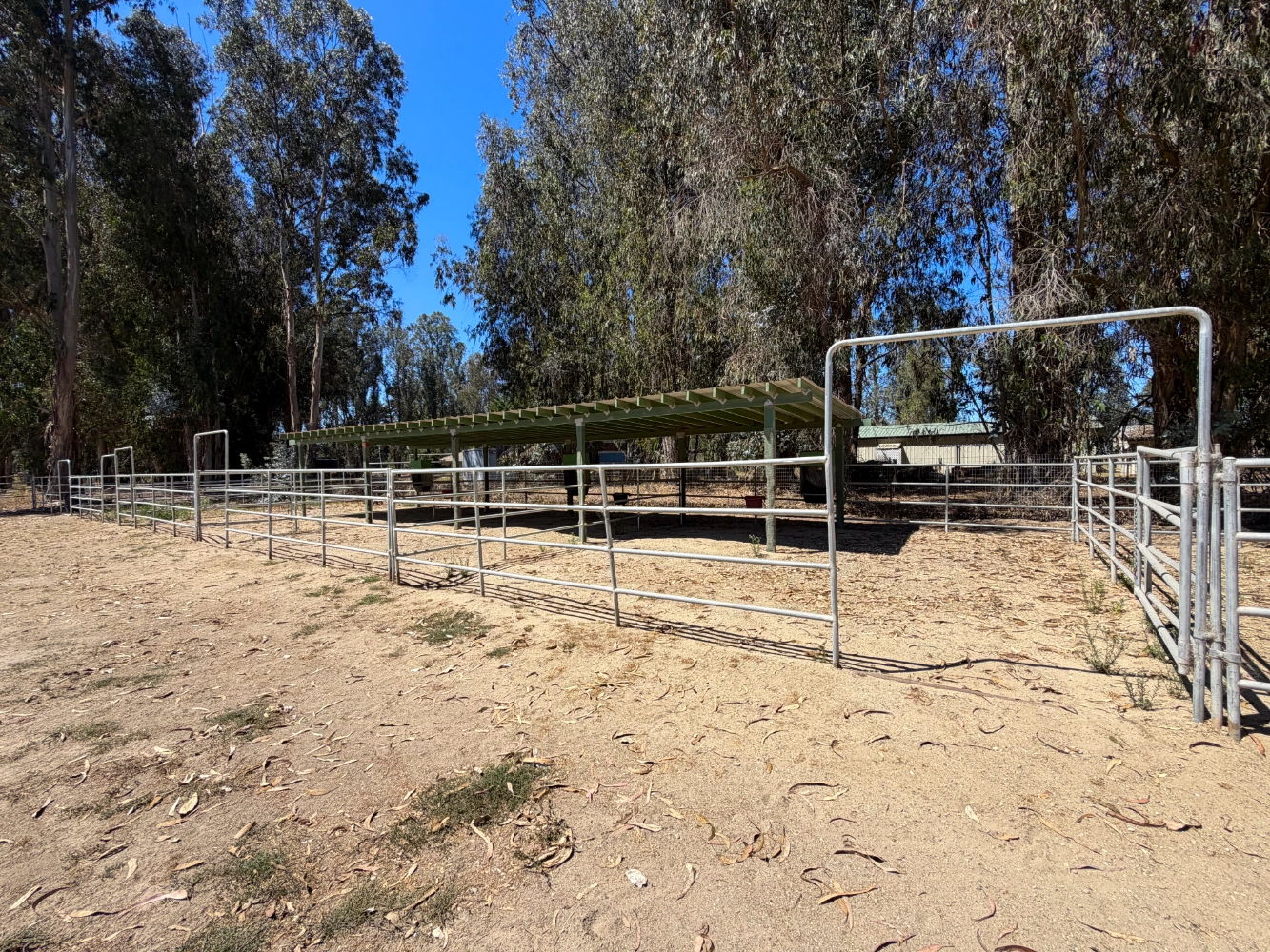 Outdoor shelter stall for two horses at Triple D Ranch, view 2