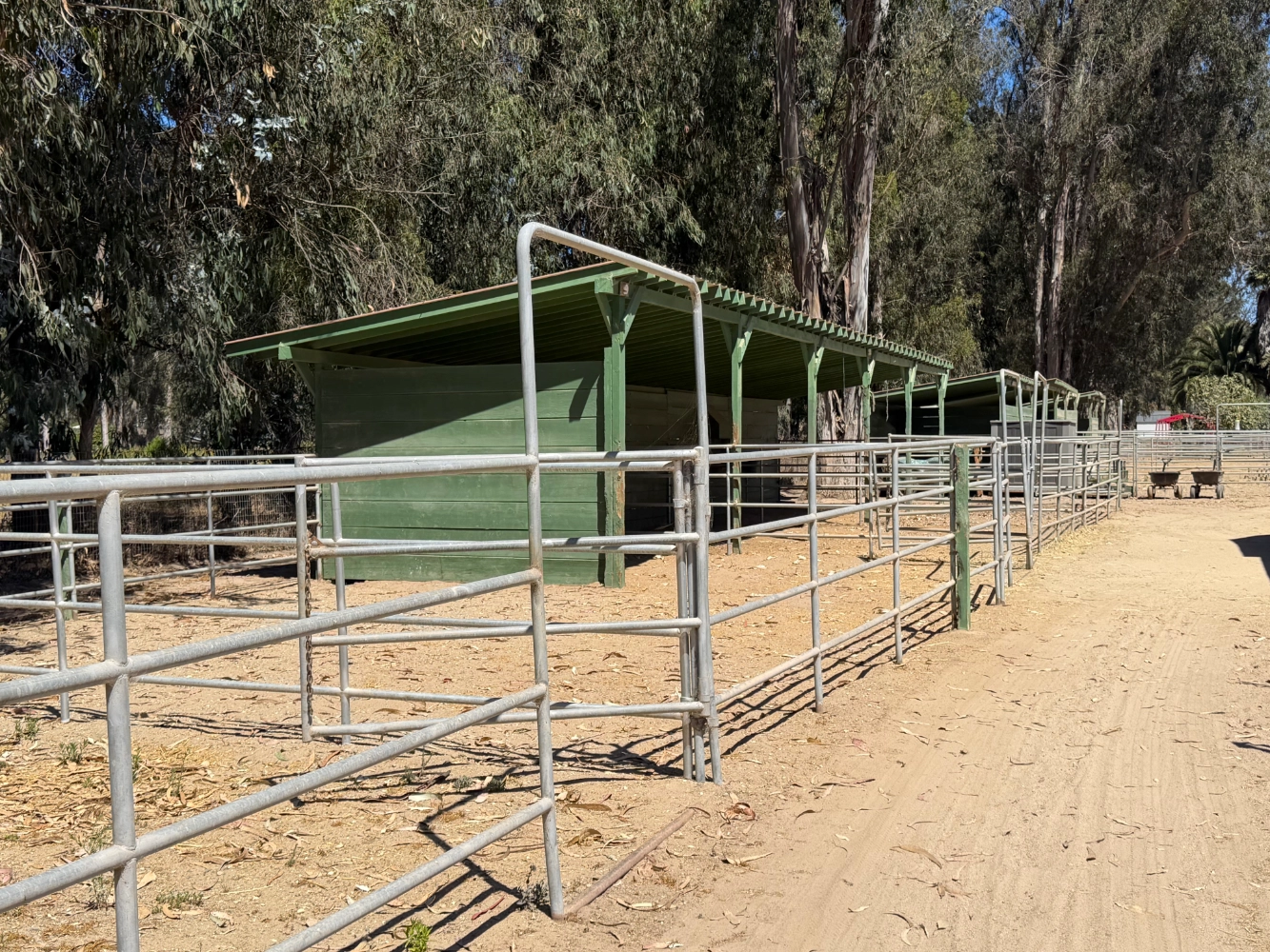 Outdoor shelter stall for two horses at Triple D Ranch, view 3