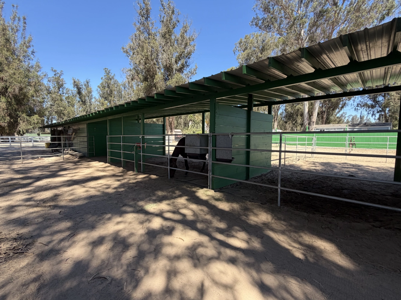 Outdoor shelter stall for up to three horses at Triple D Ranch, view 2