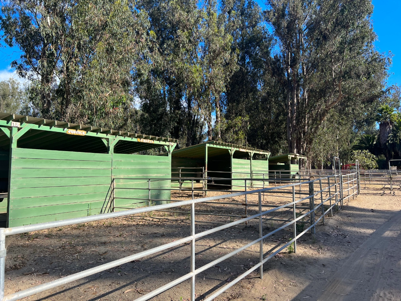 Single-horse outdoor shelter stall at Triple D Ranch, view 1