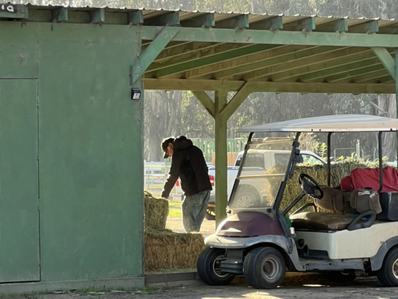 Frank working at Triple D Ranch