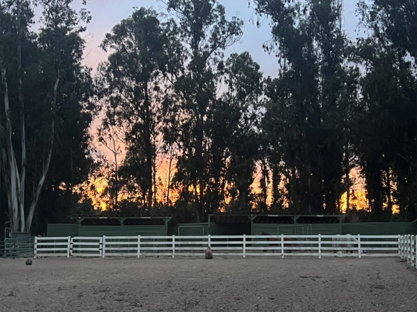 Second arena at Triple D Ranch at sunset