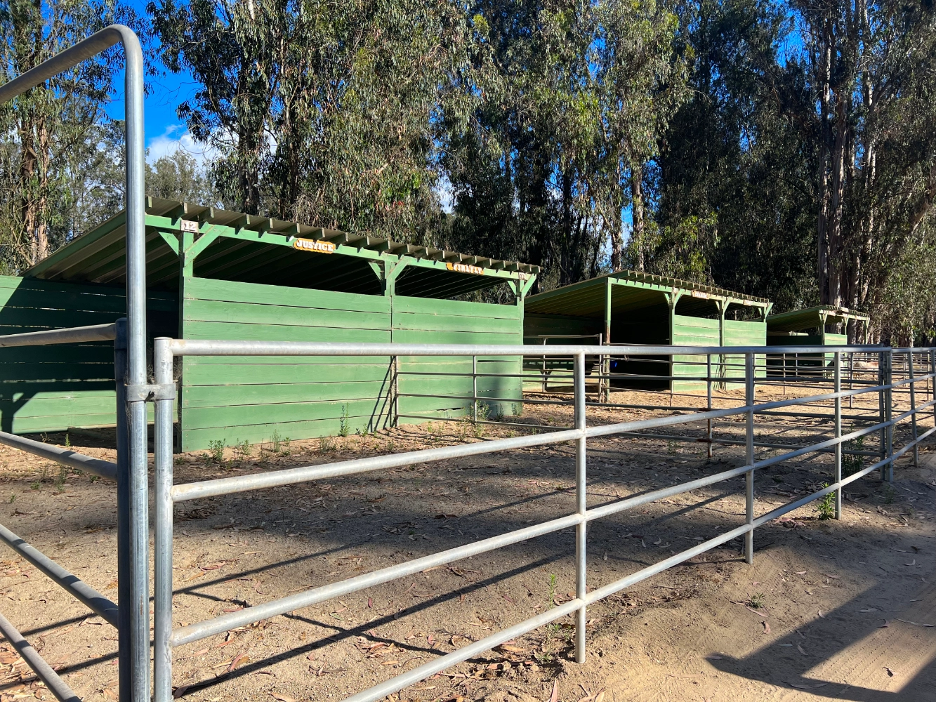 Single-horse outdoor shelter stall at Triple D Ranch, view 2